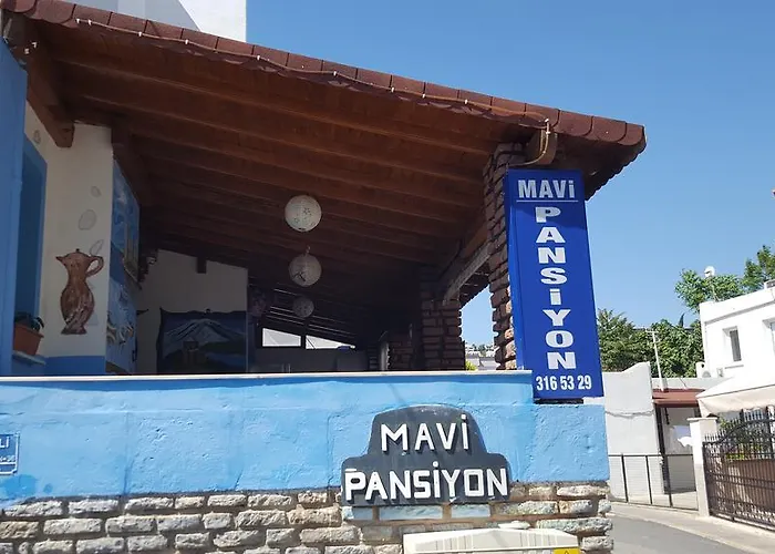 Πανσιόν Goekmavi 3*