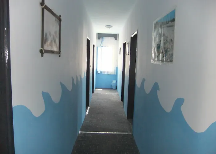 Guest house Goekmavi 3*